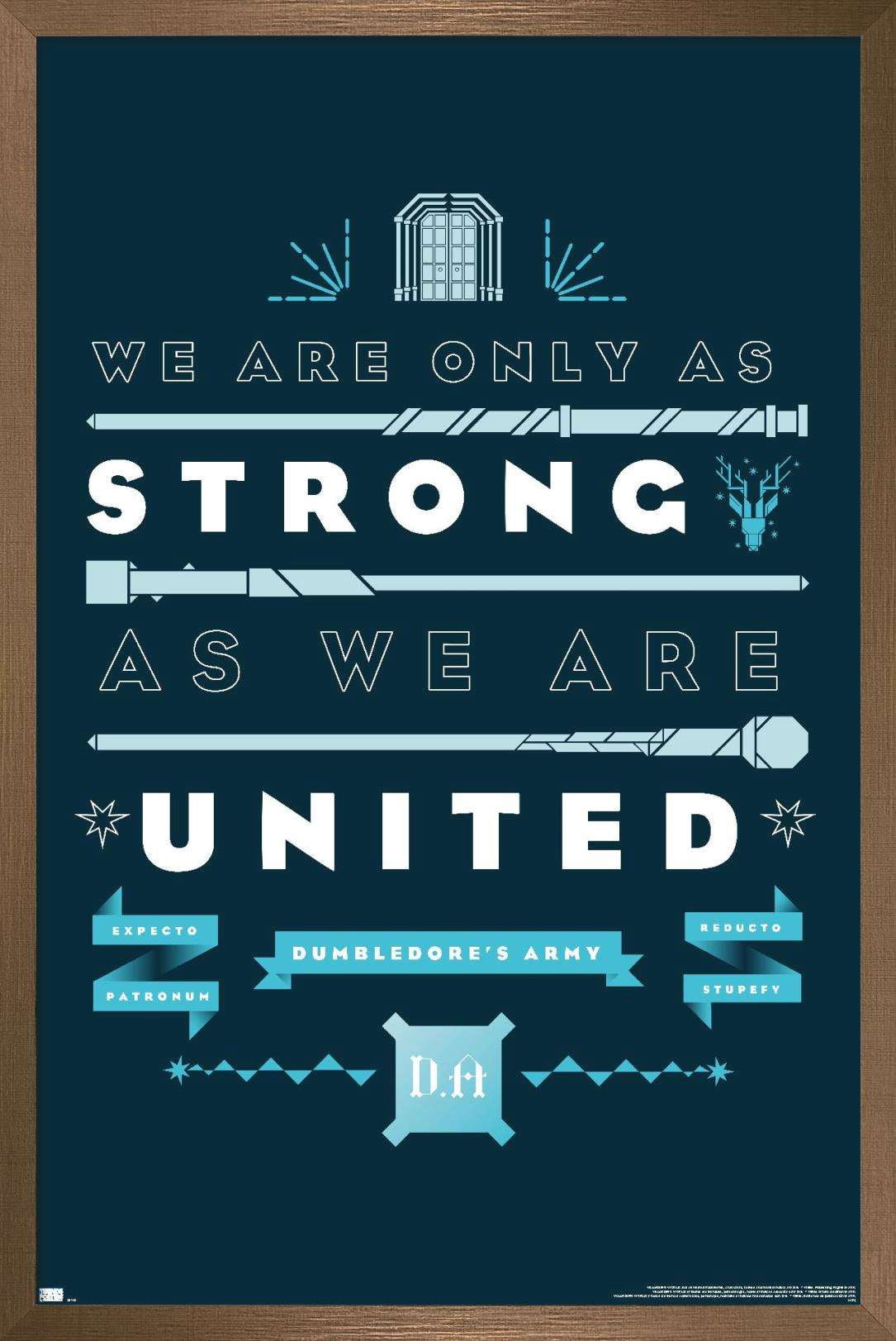 Harry Potter - United Wall Poster, 14.725" x 22.375", Framed