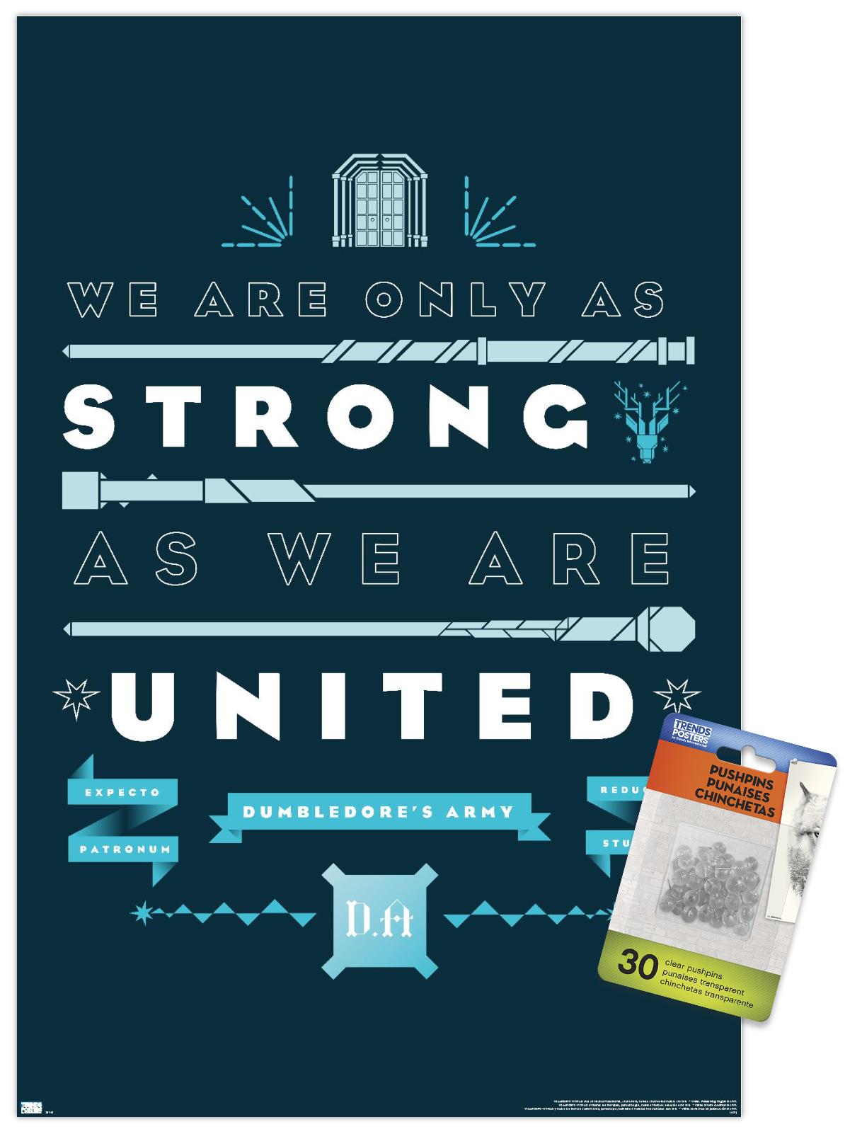 Harry Potter - United Wall Poster with Pushpins, 14.725" x 22.375"