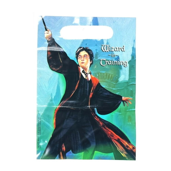 Harry Potter Wizard in Training Kids Party Treat Favor Sacks - Pack of 8