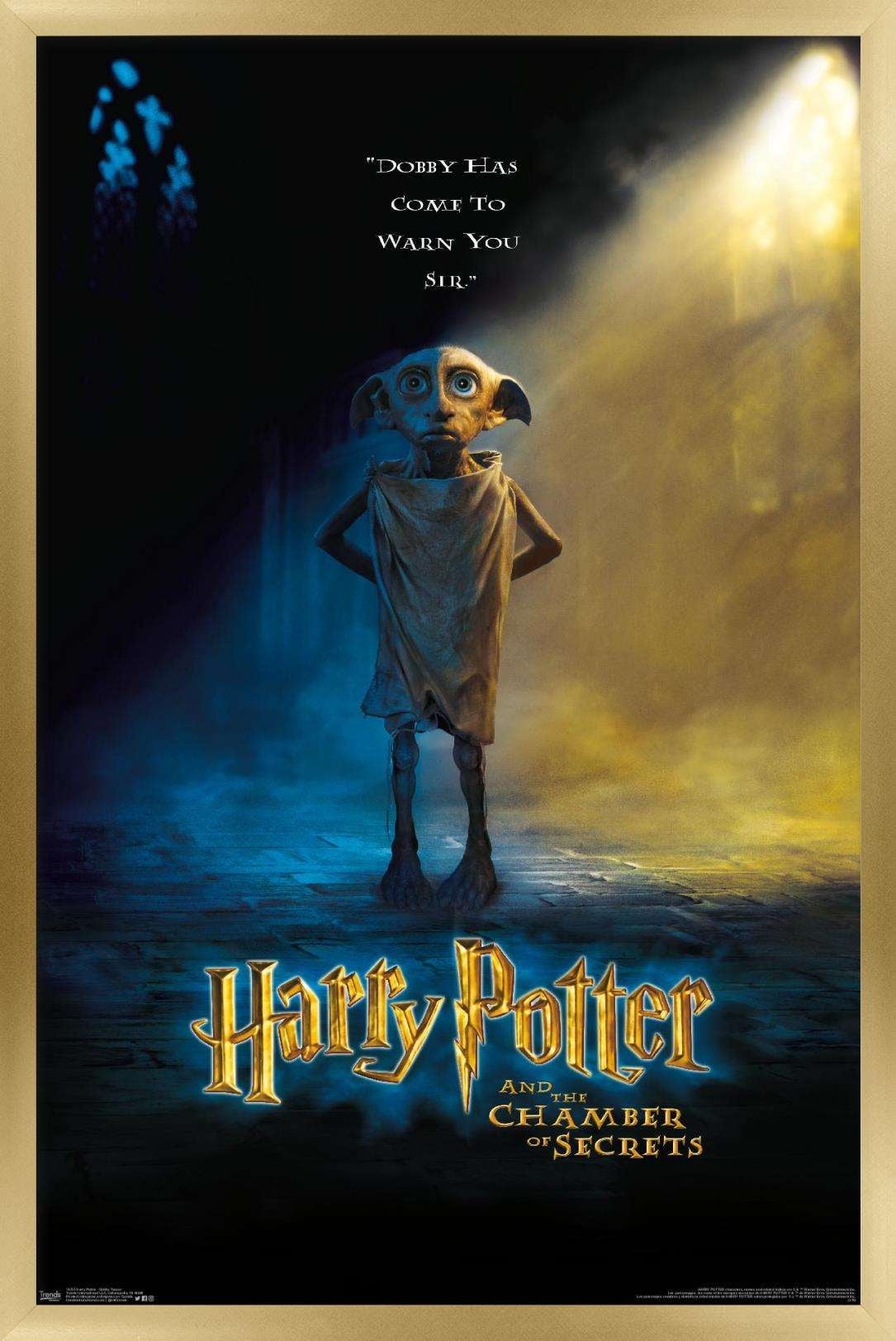 Trends International 24X36 Harry Potter and the Sorcerer's Stone - One  Sheet Framed Wall Poster Prints Black Framed Version 24 x 36