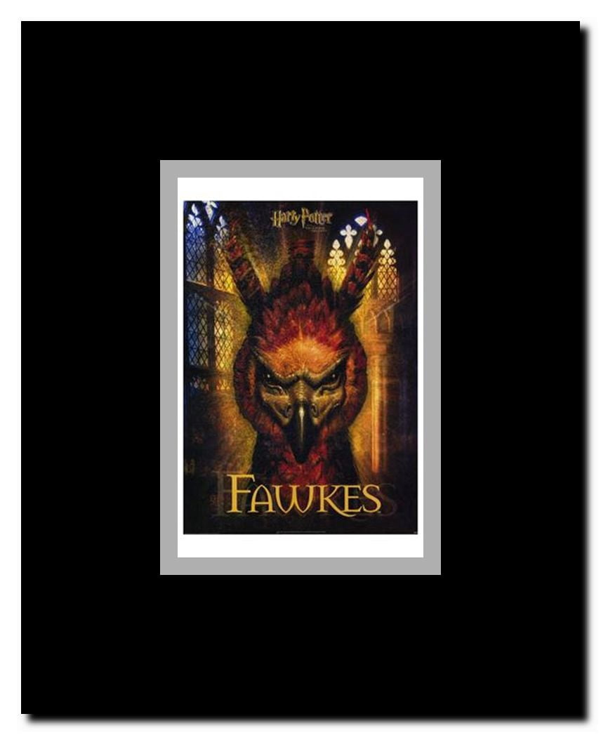 Harry Potter and the Chamber of Secrets Framed Movie Poster