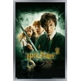 thumbnail image 1 of Harry Potter and the Chamber of Secrets - International One Sheet Wall Poster, 22.375" x 34", Framed, 1 of 3