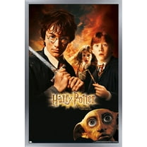 Harry Potter and the Chamber of Secrets - Sword One Sheet Wall Poster, 22.375" x 34", Framed
