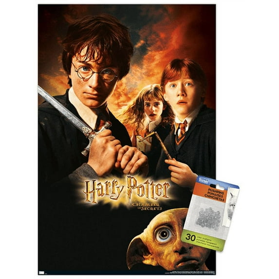 Harry Potter and the Chamber of Secrets - Sword One Sheet Wall Poster with Pushpins, 14.725" x 22.375"