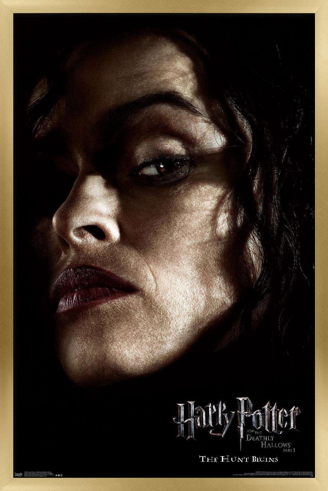 Harry Potter and the Deathly Hallows: Part 1 - Bellatrix One Sheet Wall Poster, 14.725" x 22.375", Framed