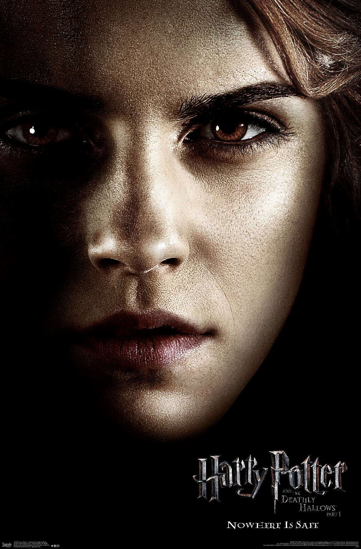 Harry Potter and the Deathly Hallows: Part 1 - Hermione One Sheet Wall
