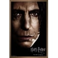 thumbnail image 1 of Harry Potter and the Deathly Hallows: Part 1 - Snape One Sheet Wall Poster, 14.725" x 22.375", Framed, 1 of 3