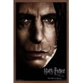 thumbnail image 1 of Harry Potter and the Deathly Hallows: Part 1 - Snape One Sheet Wall Poster, 14.725" x 22.375", Framed, 1 of 5