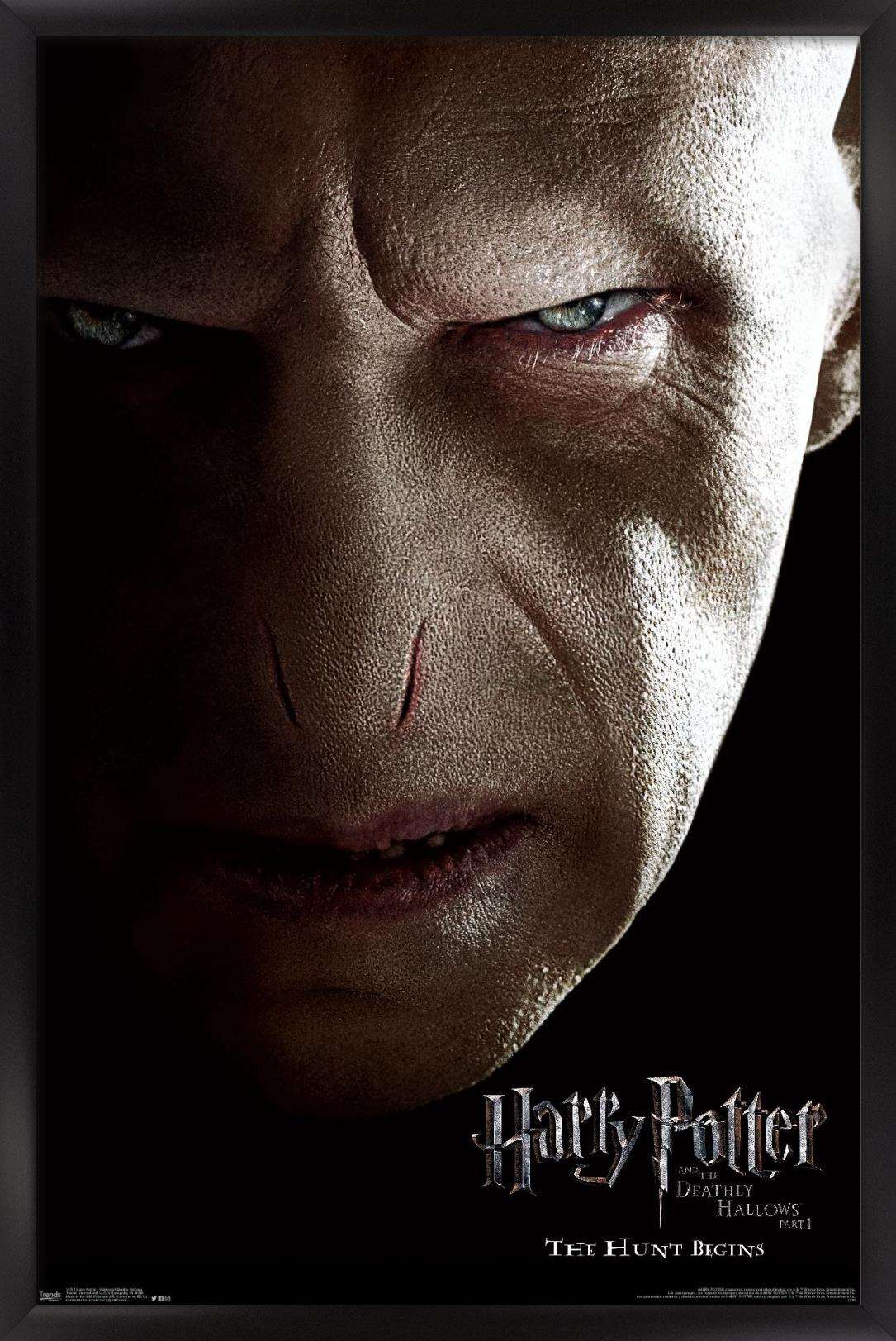 Harry Potter and the Deathly Hallows: Part 1 - Voldemort One Sheet Wall Poster, 14.725" x 22.375", Framed