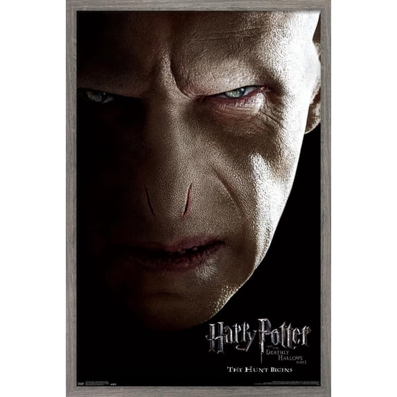 Harry Potter and the Deathly Hallows: Part 1 - Voldemort One Sheet Wall Poster, 14.725" x 22.375", Framed