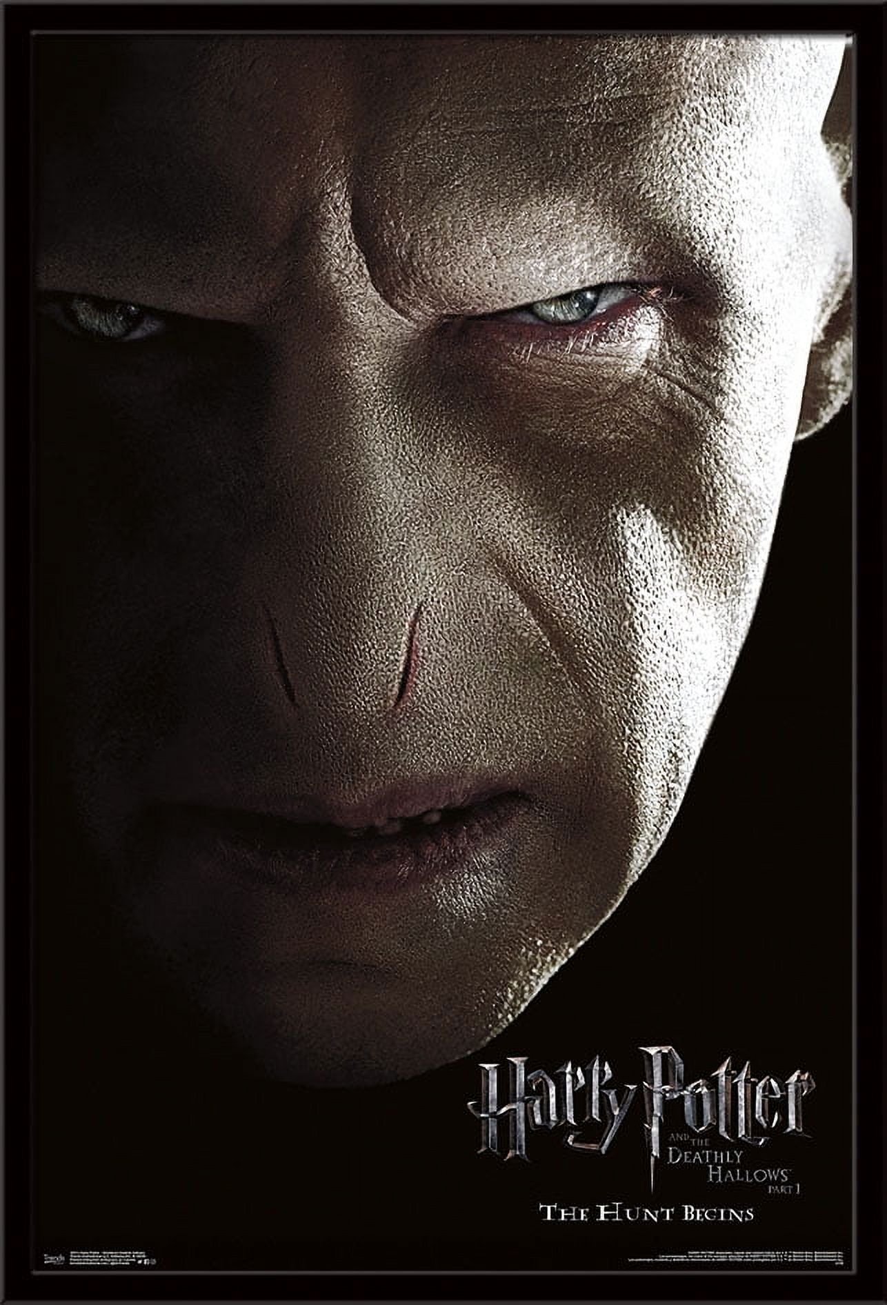 Harry Potter and the Deathly Hallows: Part 1 - Voldemort One Sheet Wall Poster, 22.375" x 34", Framed