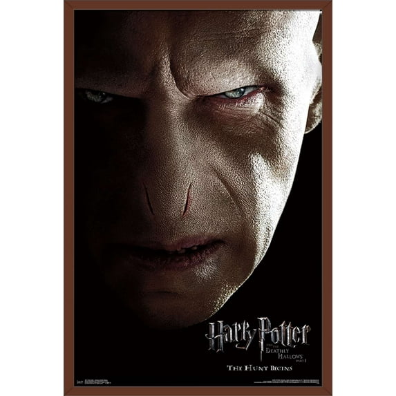 Harry Potter and the Deathly Hallows: Part 1 - Voldemort One Sheet Wall Poster, 22.375" x 34", Framed