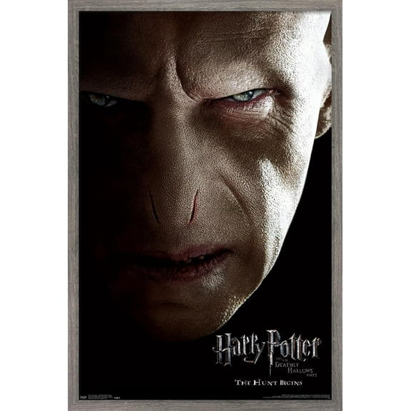 Harry Potter and the Deathly Hallows: Part 1 - Voldemort One Sheet Wall Poster, 22.375" x 34", Framed