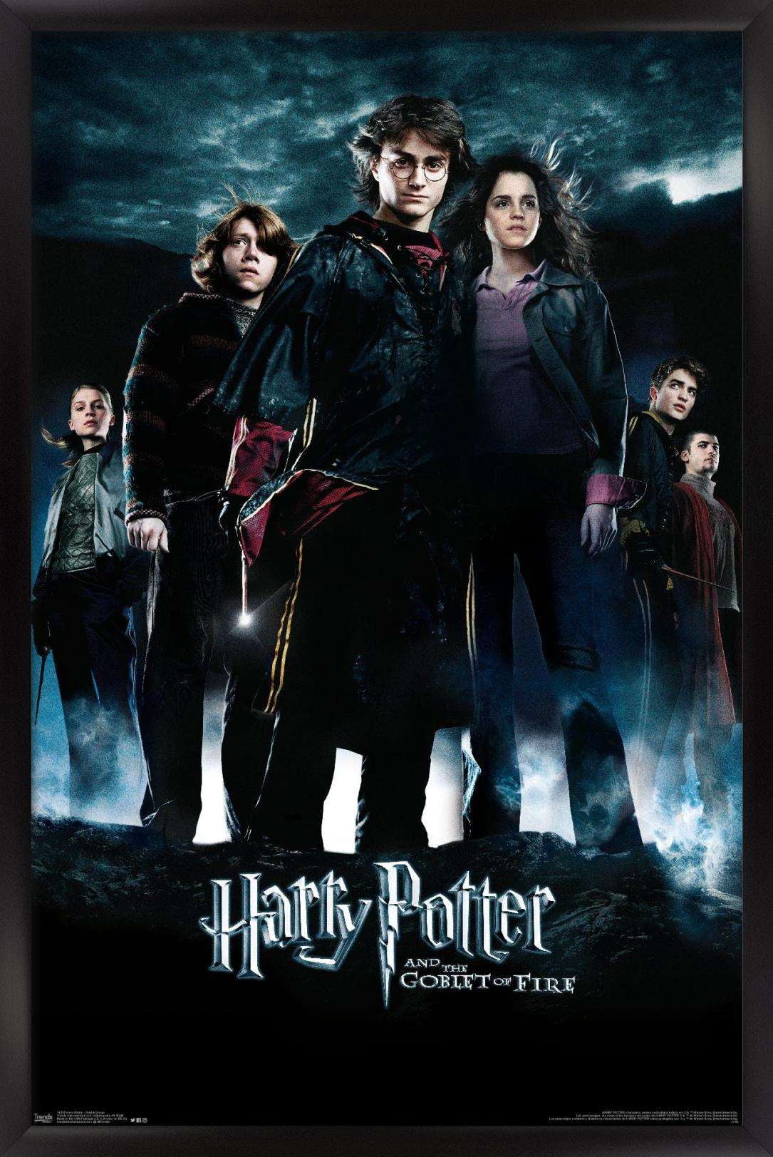 Harry Potter and the Goblet of Fire - Group One Sheet Wall Poster, 14.725" x 22.375", Framed