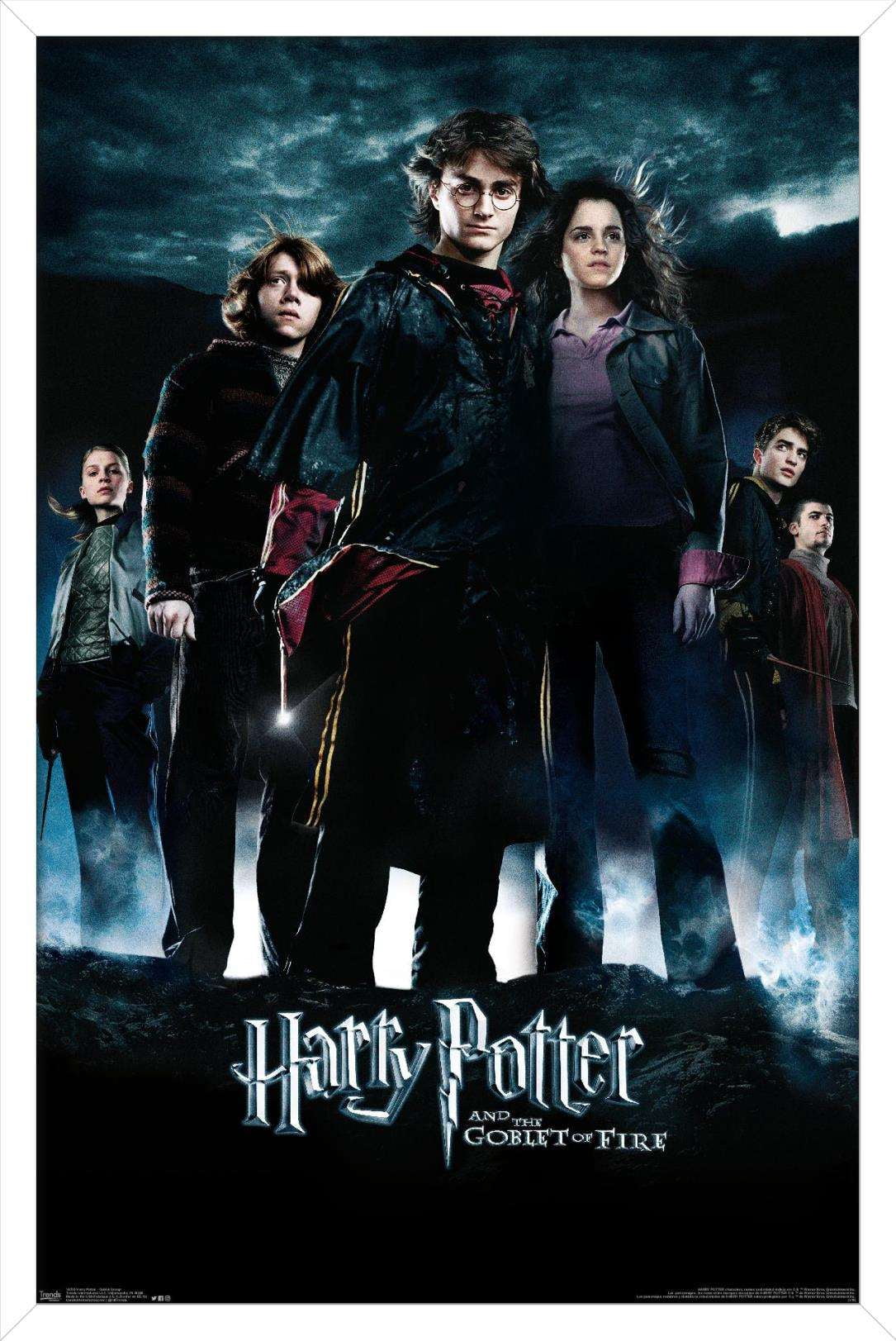 Harry Potter and the Goblet of Fire - Group One Sheet Wall Poster, 14.725" x 22.375", Framed