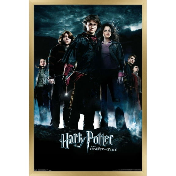 Harry Potter and the Goblet of Fire - Group One Sheet Wall Poster, 22.375" x 34", Framed