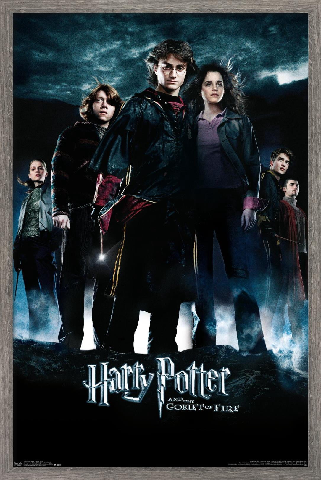 Harry Potter and the Goblet of Fire - Group One Sheet Wall Poster, 22.375" x 34", Framed