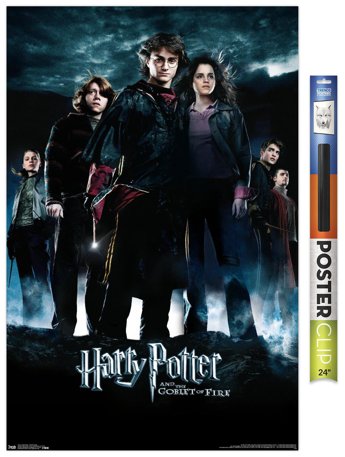 Trends International Harry Potter Poster 2-Pack