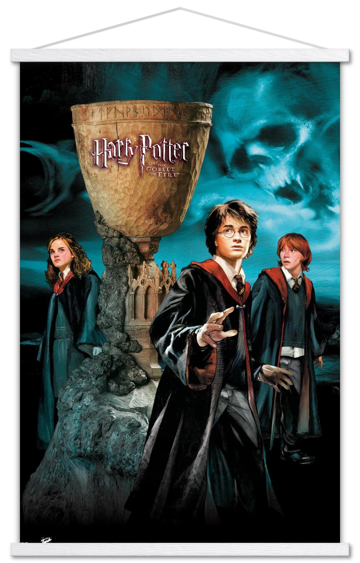 Harry Potter and the Goblet of Fire - Group Wall Poster, 14.725 x 22.375  
