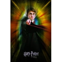 Harry Potter and the Goblet of Fire - Harry One Sheet Wall Poster, 22.375" x 34"