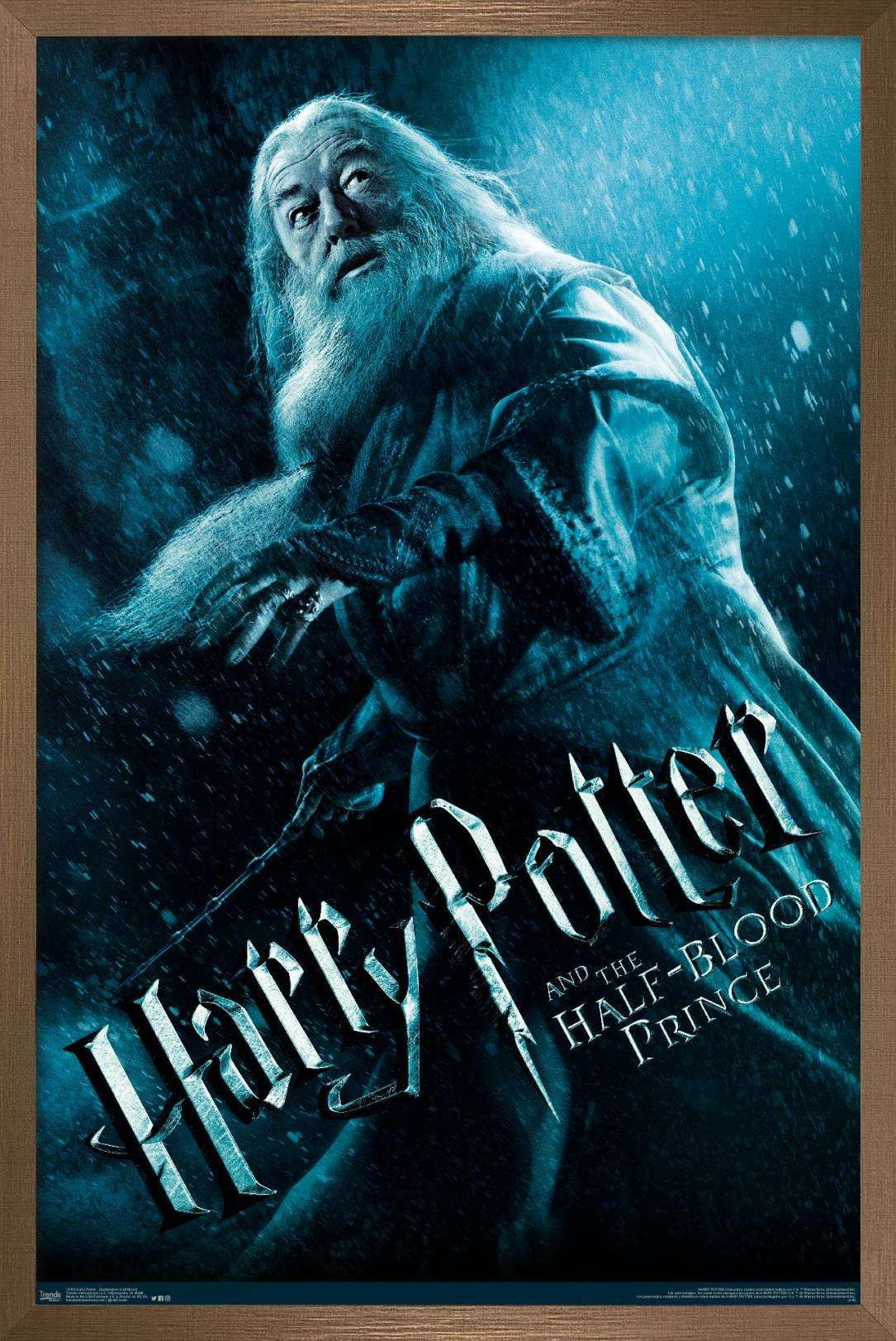 Harry Potter and the Half-Blood Prince - Dumbledore One Sheet Wall Poster, 14.725" x 22.375", Framed