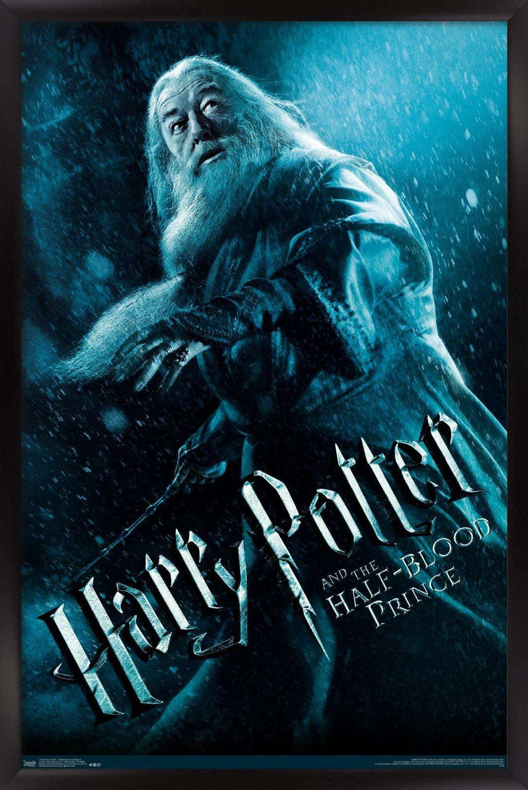 Harry Potter and the Half-Blood Prince - Dumbledore One Sheet Wall Poster, 14.725" x 22.375", Framed
