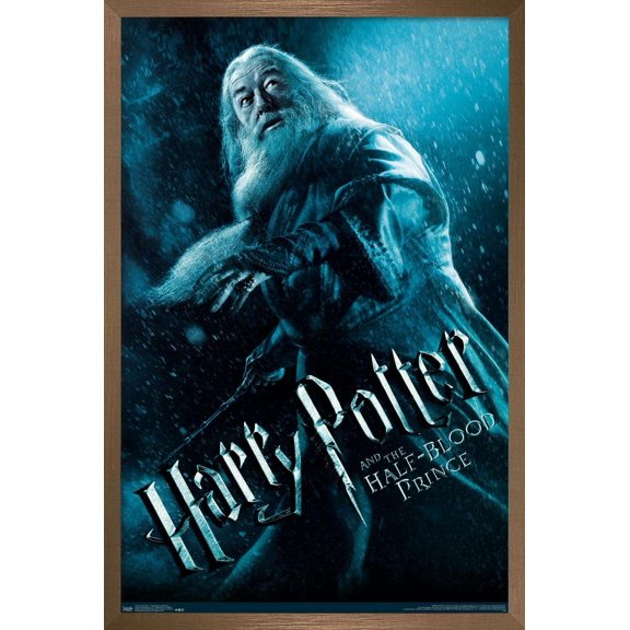 Harry Potter and the Half-Blood Prince - Dumbledore One Sheet Wall Poster, 22.375" x 34", Framed