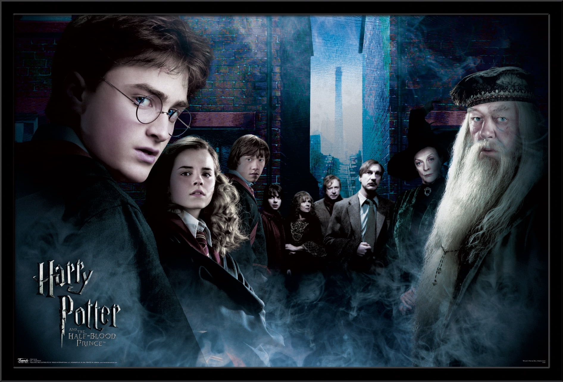 Harry Potter and the Half-Blood Prince - Fraternity Wall Poster, 22.375" x 34", Framed