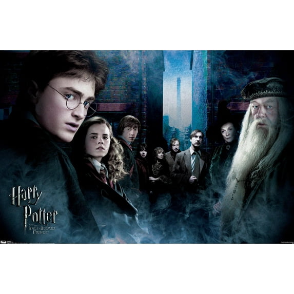 Harry Potter and the Half-Blood Prince - Fraternity Wall Poster, 22.375" x 34"