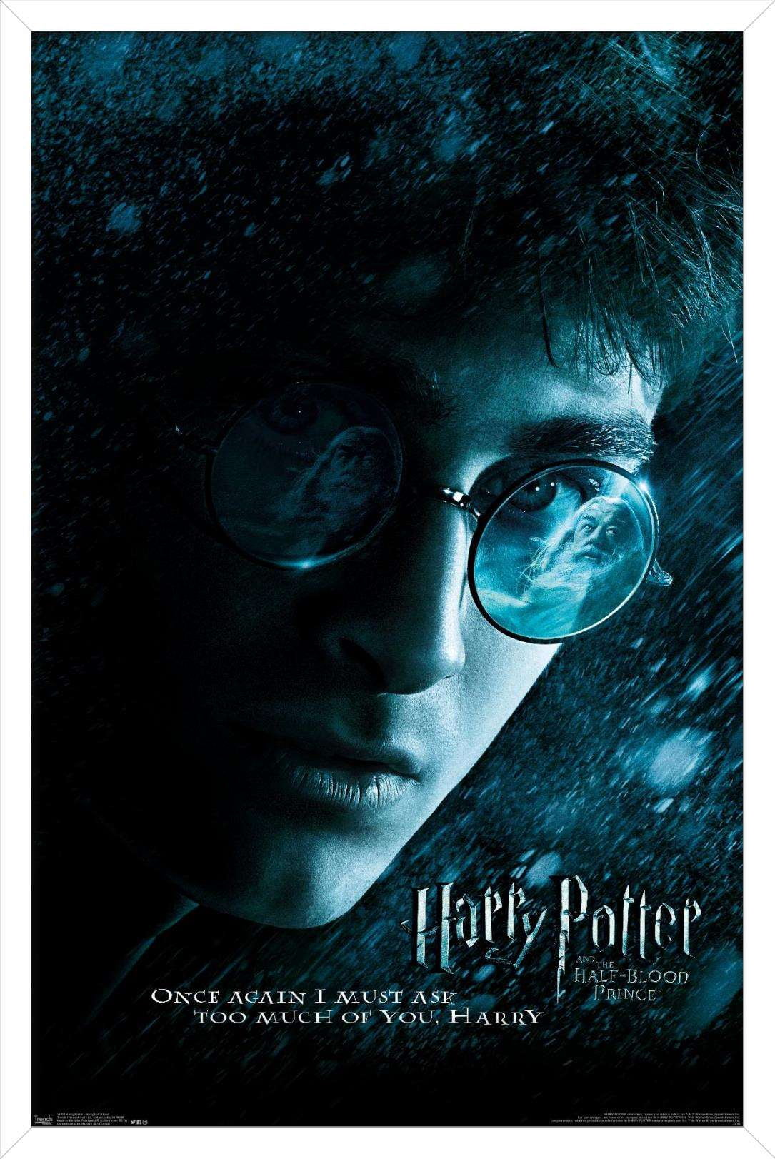 Harry Potter and the Half-Blood Prince - Ghost Wall Poster, 14.725" x 22.375", Framed