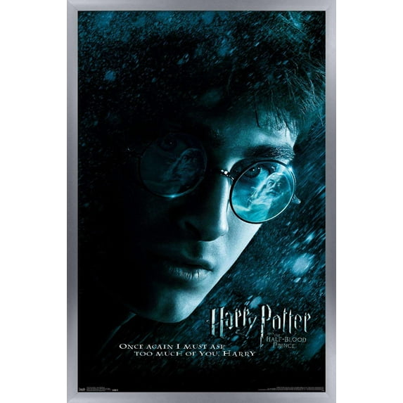 Harry Potter and the Half-Blood Prince - Ghost Wall Poster, 14.725" x 22.375", Framed