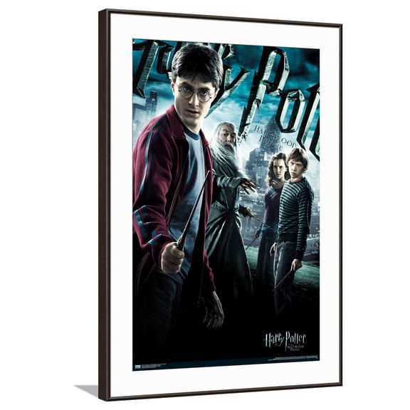 Harry Potter and the Half-Blood Prince - Group One Sheet Canvas Wall Poster, 22.375" x 34"