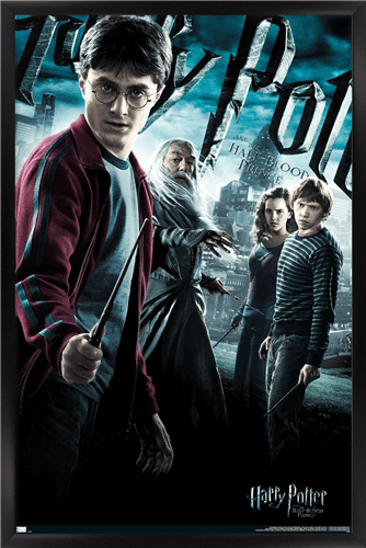 Harry Potter and the Half-Blood Prince - Group One Sheet Wall Poster, 14.725" x 22.375", Framed