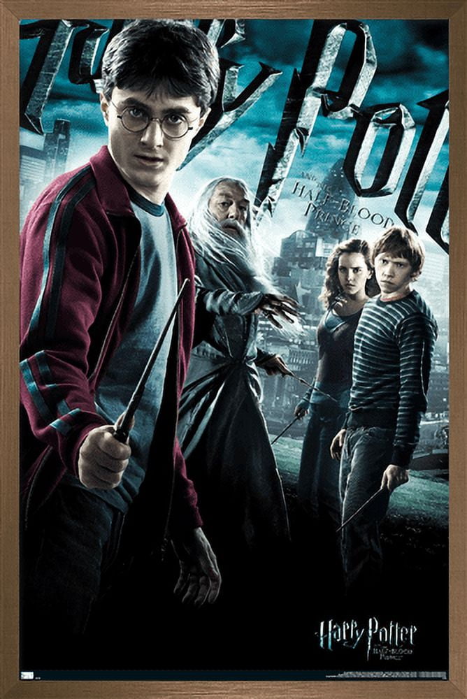 Harry Potter and the Half-Blood Prince - Group One Sheet Wall Poster, 22.375" x 34", Framed