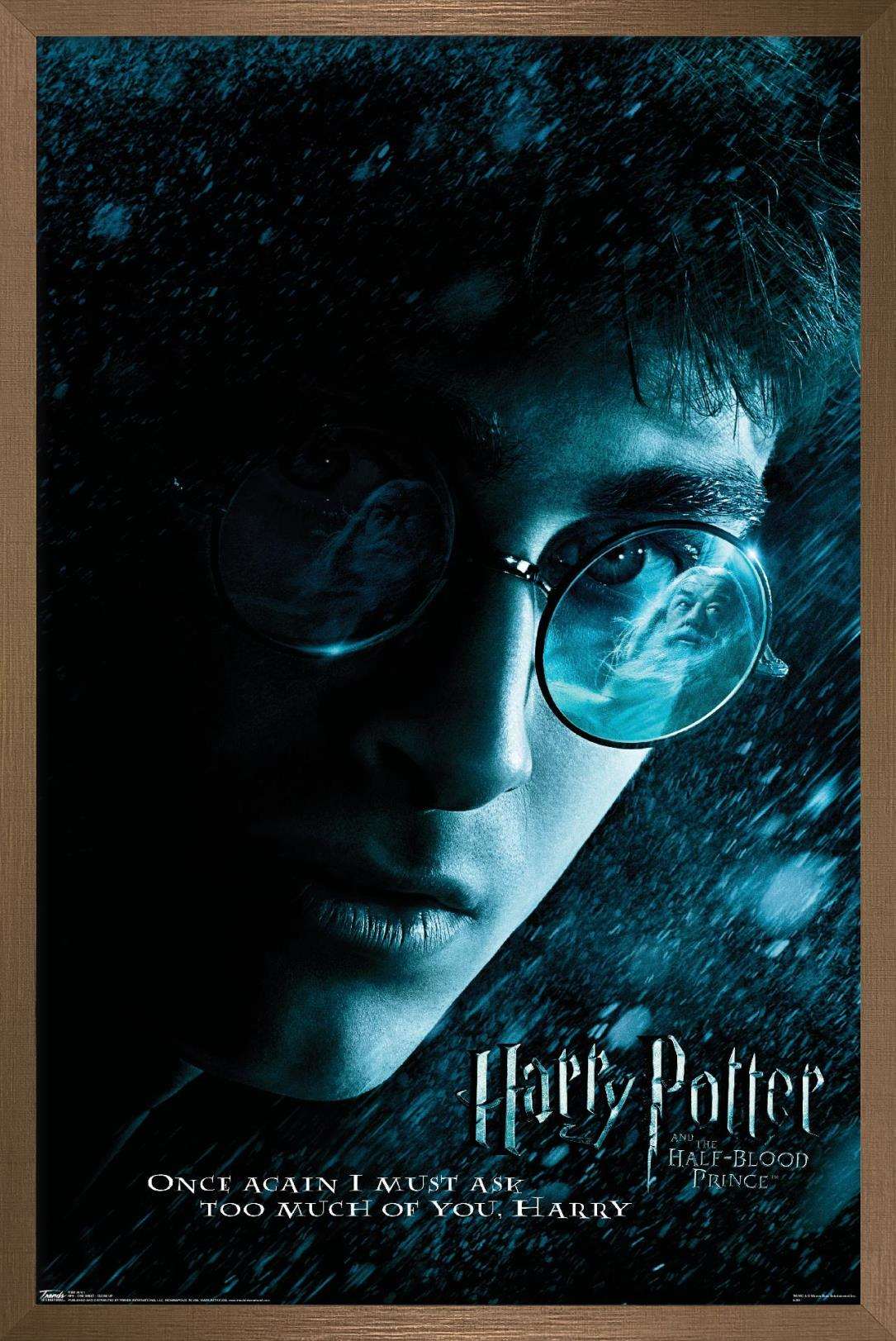 Harry Potter and the Half-Blood Prince - Harry Close-up One Sheet Wall Poster, 14.725" x 22.375", Framed