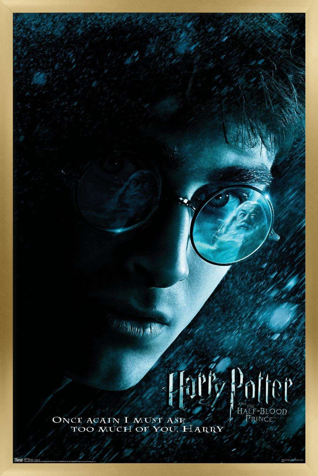 Harry Potter and the Half-Blood Prince - Harry Close-up One Sheet Wall Poster, 22.375" x 34", Framed