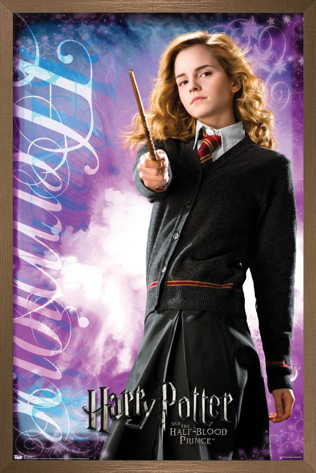 Harry Potter and the Half-Blood Prince - Hermione Wall Poster, 14.725" x 22.375", Framed