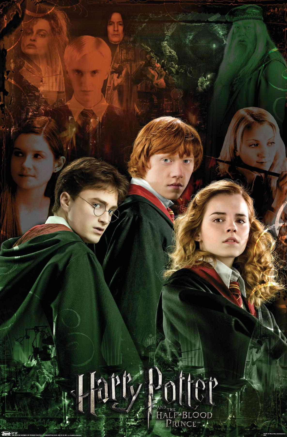 Harry Potter and the HalfBlood Prince Trio Collage Wall Poster, 13