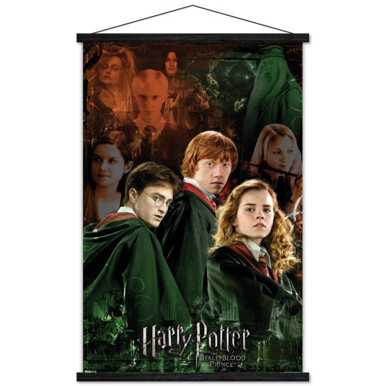 Trends International Harry Potter Poster 2-Pack