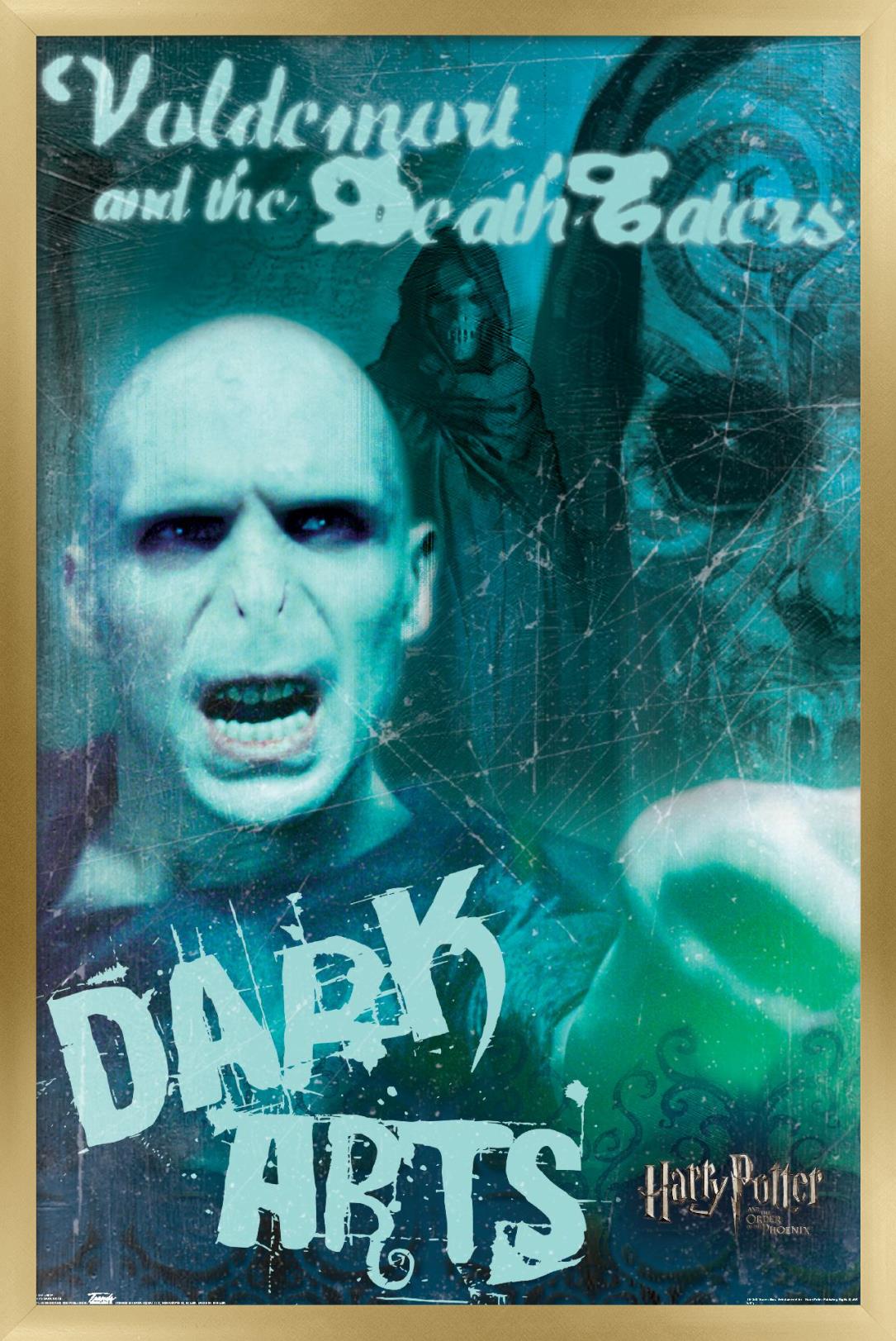 Harry Potter and the Order of the Phoenix - Dark Arts Wall Poster, 22.375" x 34", Framed