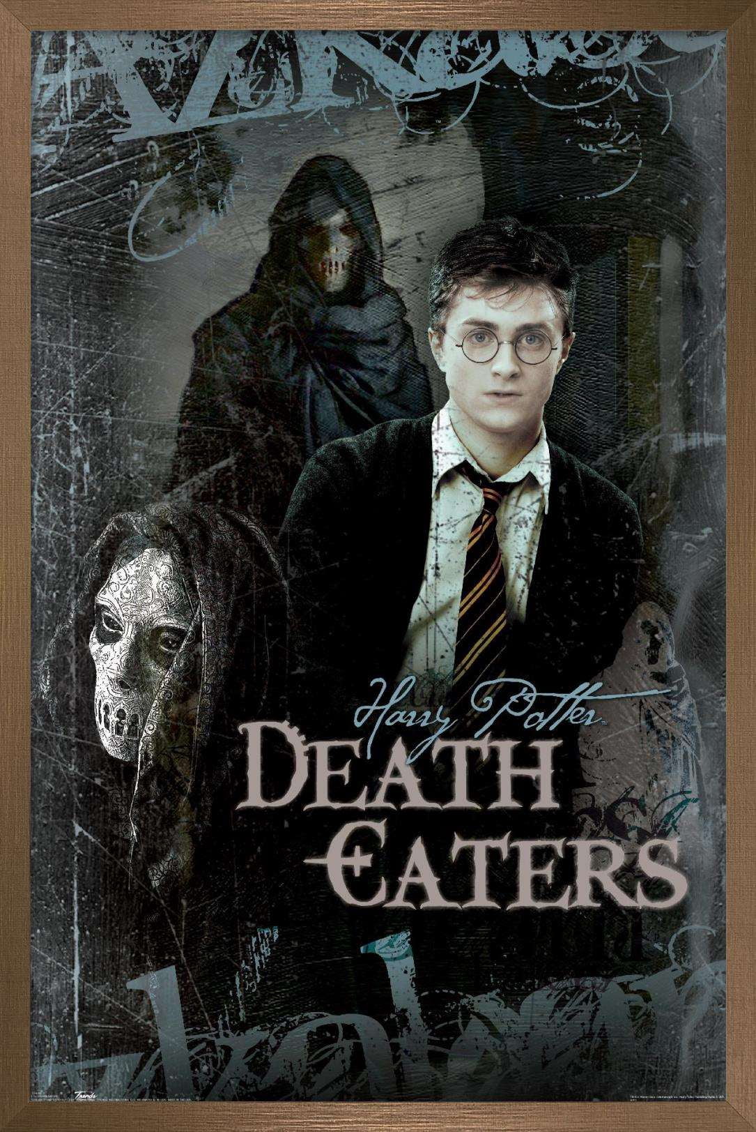 Harry Potter and the Order of the Phoenix - Death Eaters Wall Poster, 14.725" x 22.375", Framed
