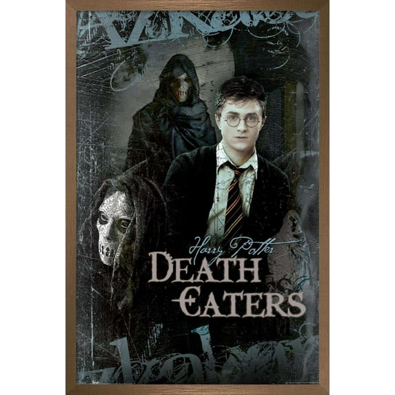 Harry Potter and the Order of the Phoenix - Death Eaters Wall Poster, 14.725" x 22.375", Framed