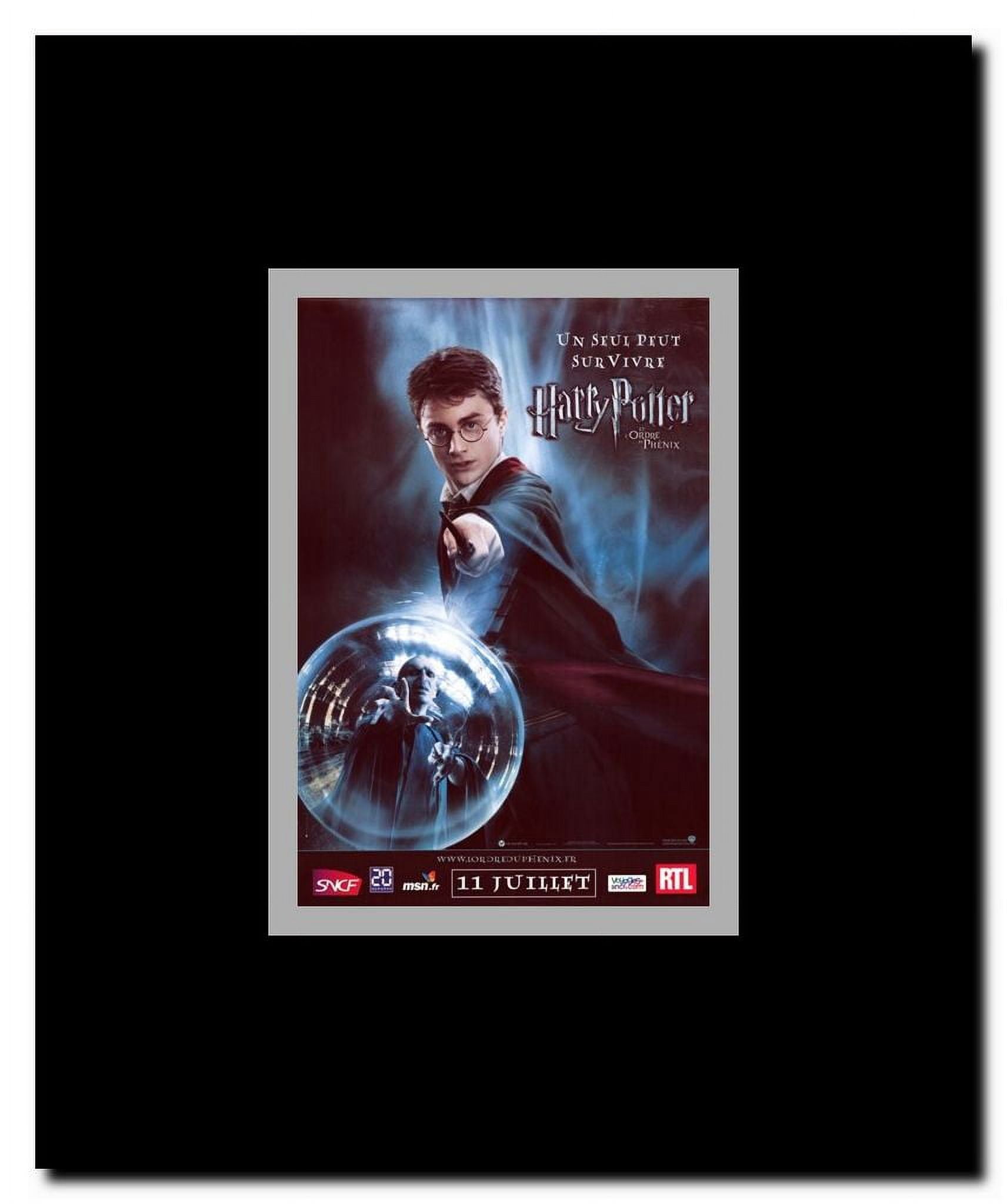 Harry Potter and the Order of the Phoenix Framed Movie Poster