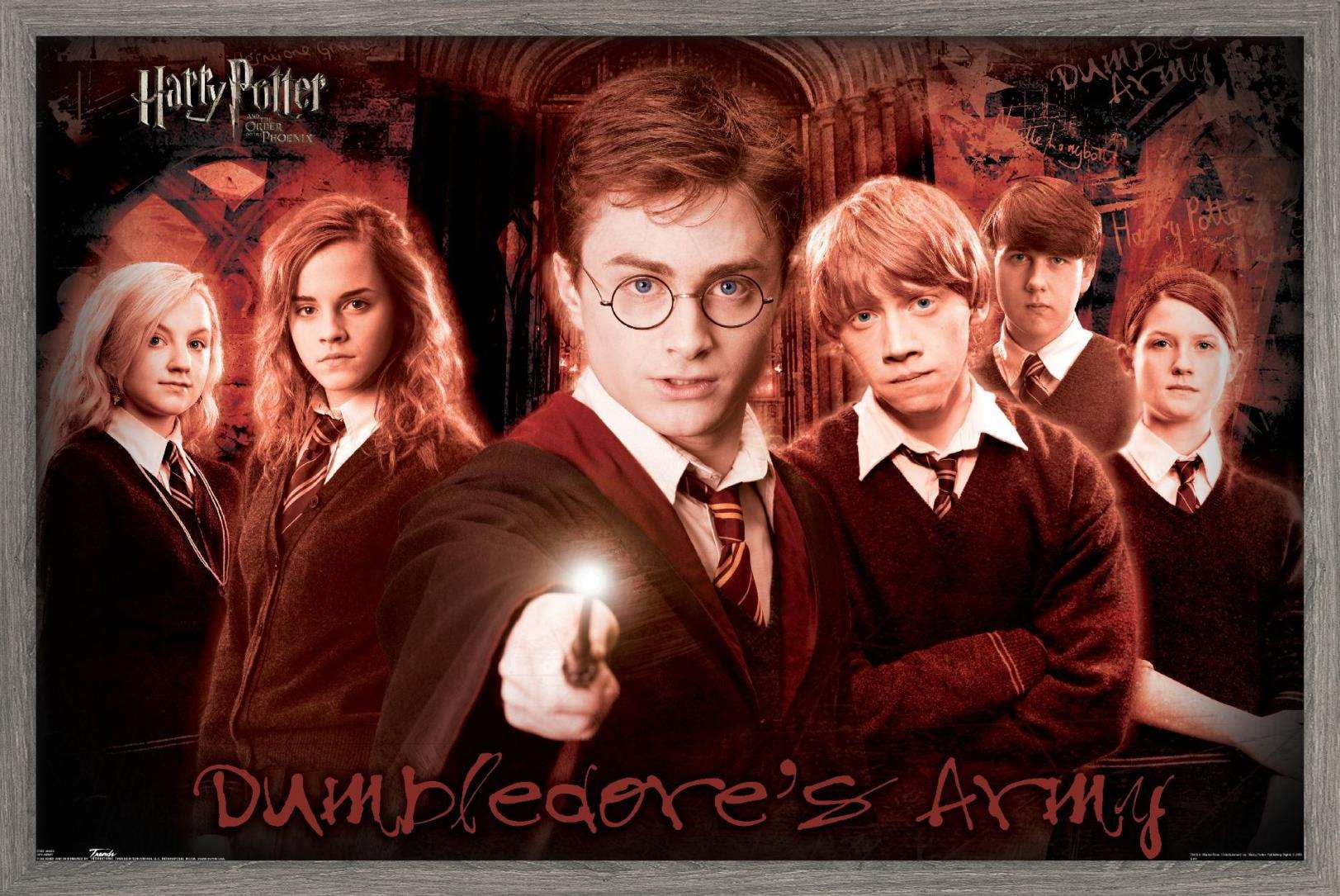 Harry Potter and the Order of the Phoenix - Group Wall Poster, 22.375" x 34", Framed