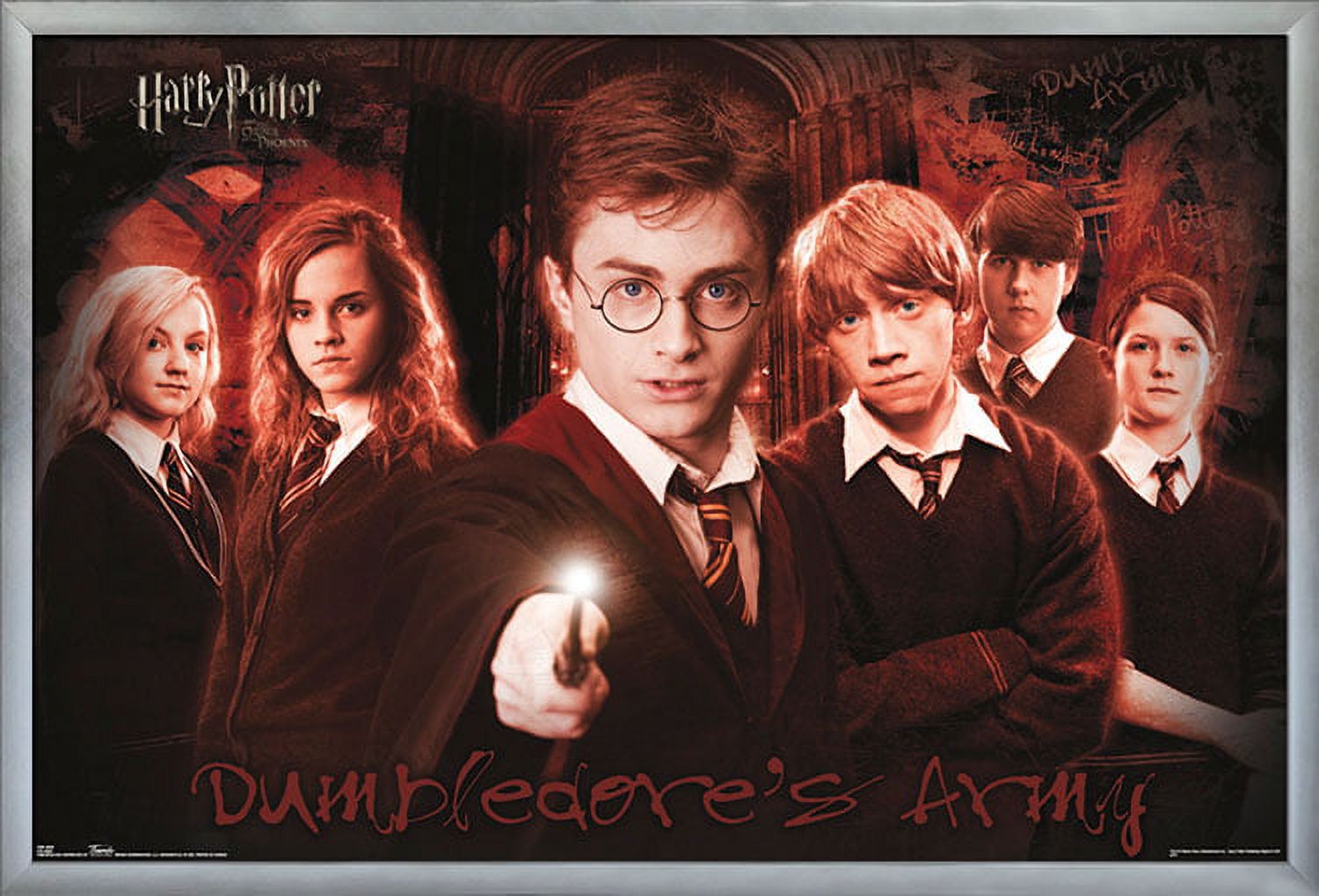 Harry Potter and the Order of the Phoenix - Group Wall Poster, 22.375" x 34", Framed
