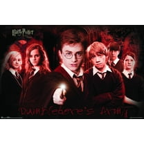 Harry Potter and the Order of the Phoenix - Group Wall Poster, 22.375" x 34"
