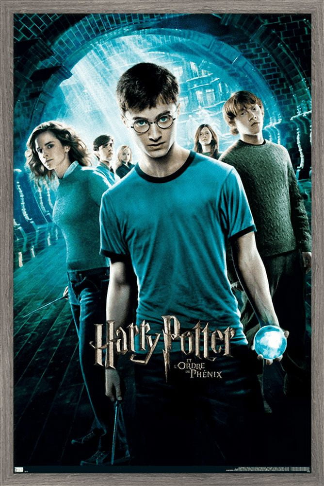 Harry Potter and the Order of the Phoenix - One Sheet (French Version) Wall Poster, 14.725" x 22.375", Framed