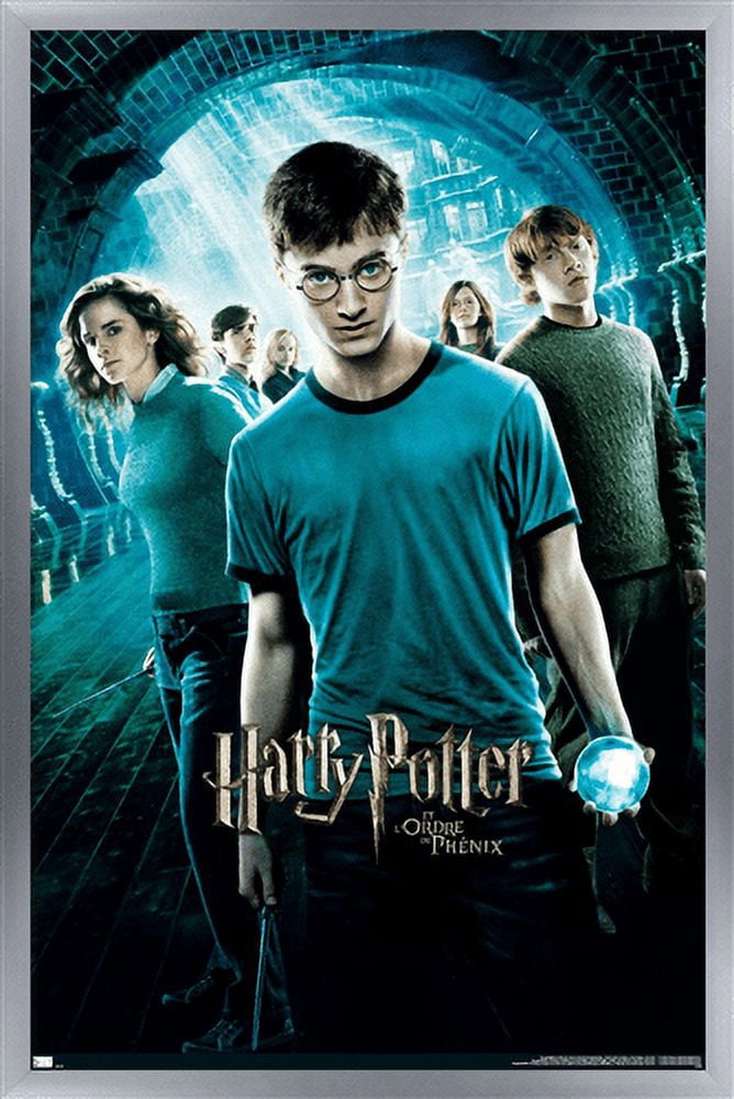 Harry Potter and the Order of the Phoenix - One Sheet (French Version) Wall Poster, 22.375" x 34", Framed