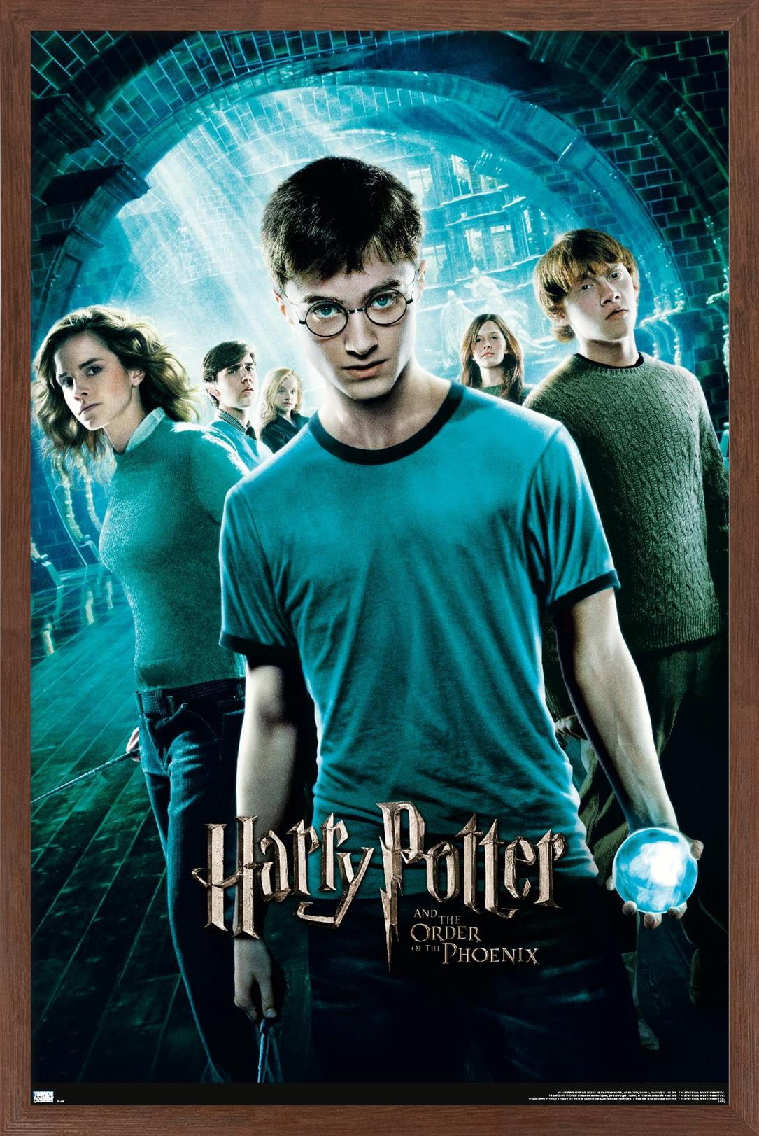 Harry Potter and the Order of the Phoenix - One Sheet Wall Poster, 22.375" x 34" Framed