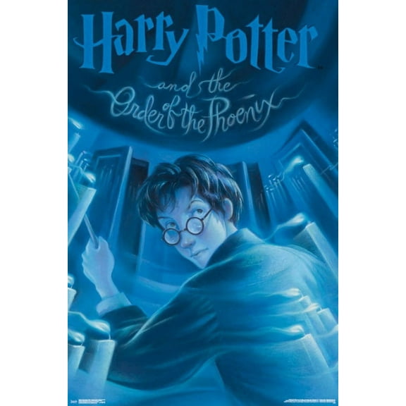 Harry Potter and the Order of the Phoenix Poster Print (24 x 36)